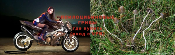 герыч Алзамай