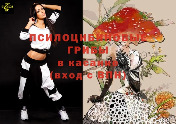 мет Алексин